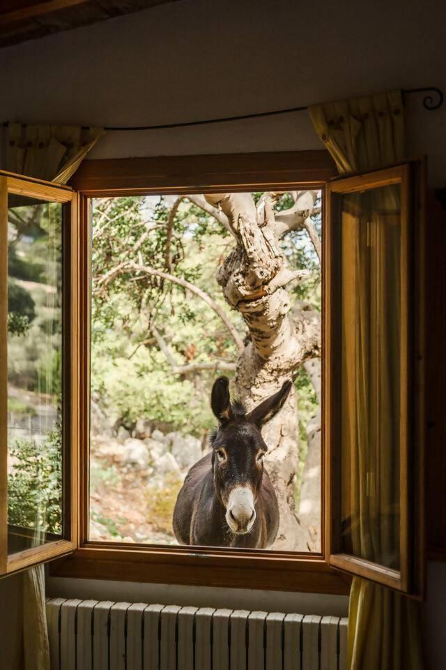 Casa Tramuntana Βίλα Valldemossa  Δωμάτιο φωτογραφία